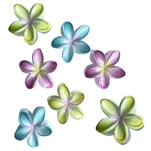 DOCENA DE GANCHOS SURTIDOS DE FLORES HAWAIANAS 