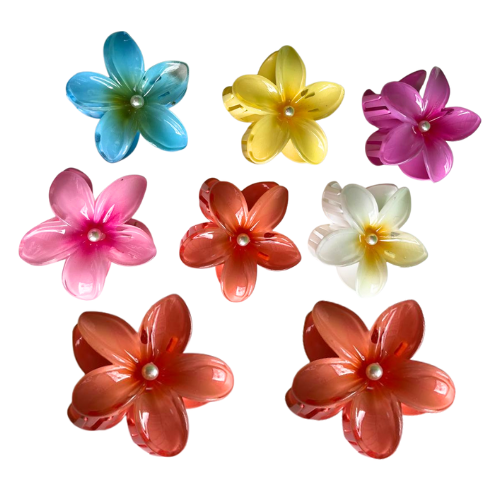 DOCENA DE GANCHOS SURTIDOS DE FLORES HAWAIANAS 