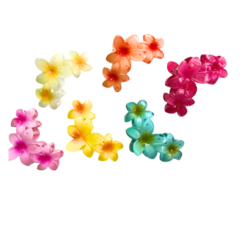 DOCENA DE GANCHOS SURTIDOS DE FLORES HAWAIANAS 