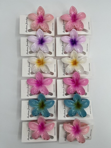 [CABHAW] DOCENA DE GANCHOS HAWAIANOS CON CARTÓN BLANCO