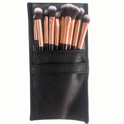 [RS2082] SET DE 10 BROCHAS PRESENTACION DE COLORES SURTIDOS